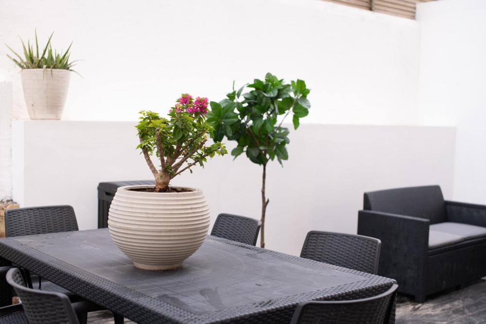 Apartament Seaviewtlv Tel Awiw Zewnętrze zdjęcie